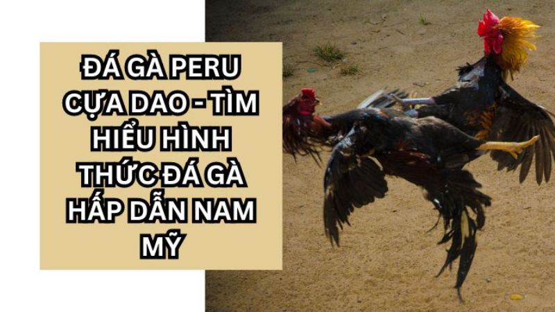 da-ga-peru-cua-dao