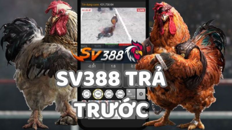 da-ga-sv388-tra-truoc