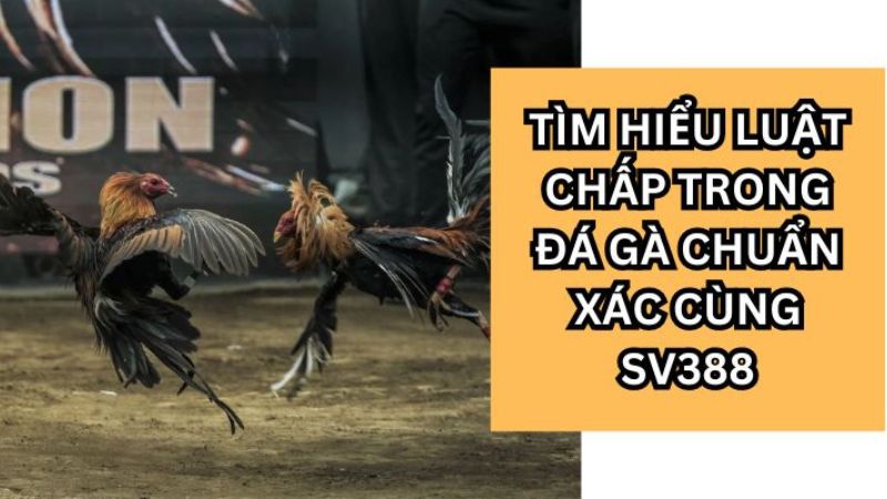 luat-chap-ga-da